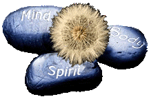 Mind, Body, Spirit written on rocks with dandelion seeds in center 