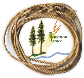 Raymon Grace Link to his website for Healing, Body Intelligence Training, Cleaning Water and Much More.